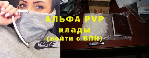 шишки Алзамай