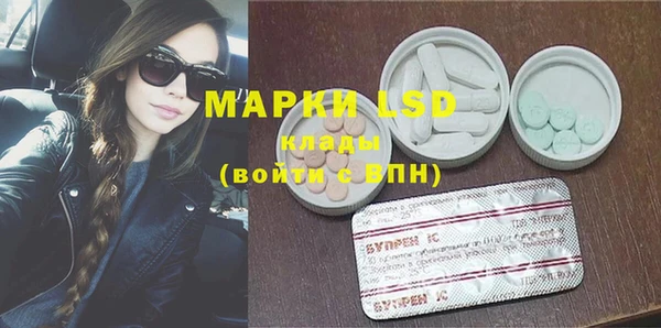 шишки Алзамай