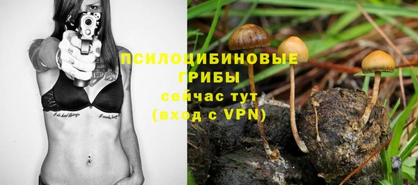 MDMA Premium VHQ Дмитриев