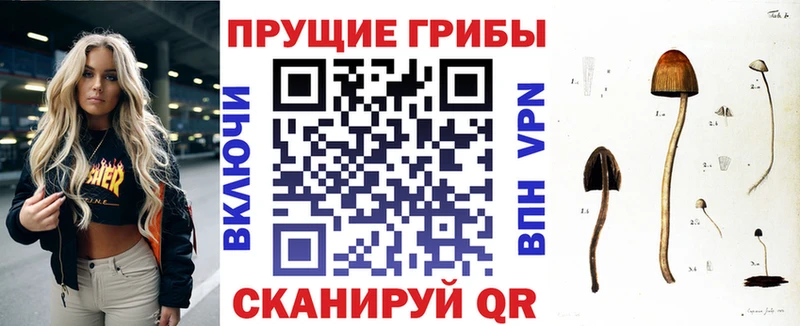 хочу наркоту  KRAKEN как войти  Псилоцибиновые грибы прущие грибы  Асбест 
